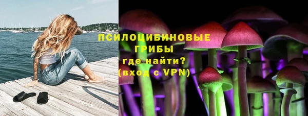 прущая мука Горно-Алтайск