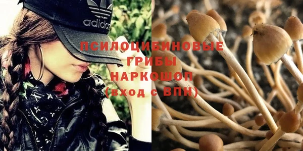 прущая мука Горно-Алтайск