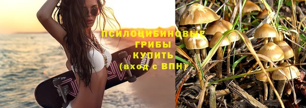стафф Горняк